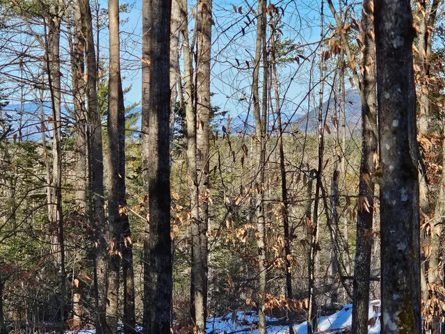 $299,000 | 0 High Street, Peru, ME 04290