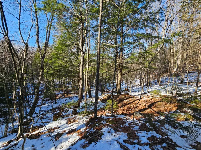 $299,000 | 0 High Street, Peru, ME 04290