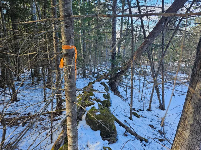 $299,000 | 0 High Street, Peru, ME 04290