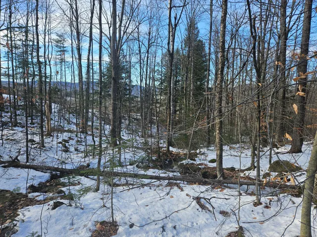 $299,000 | 0 High Street, Peru, ME 04290