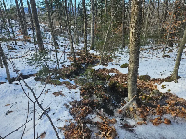 $299,000 | 0 High Street, Peru, ME 04290