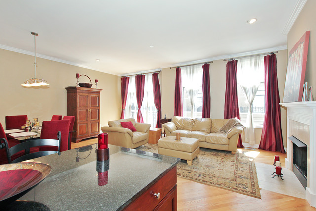 1638 South Indiana Avenue, Unit 4 Chicago, IL 60616 - Photo 3 of 14 a living room with furniture and a flat screen tv