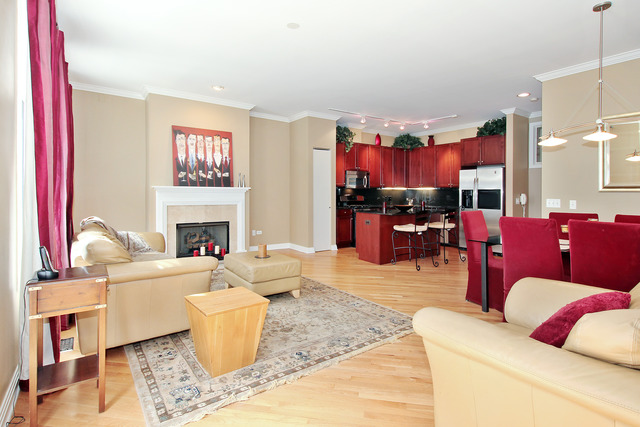 1638 South Indiana Avenue, Unit 4 Chicago, IL 60616 - Photo 4 of 14 a living room with furniture fireplace and a table