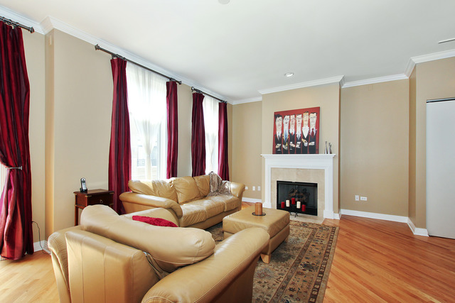 1638 South Indiana Avenue, Unit 4 Chicago, IL 60616 - Photo 5 of 14 a living room with furniture fireplace and a window