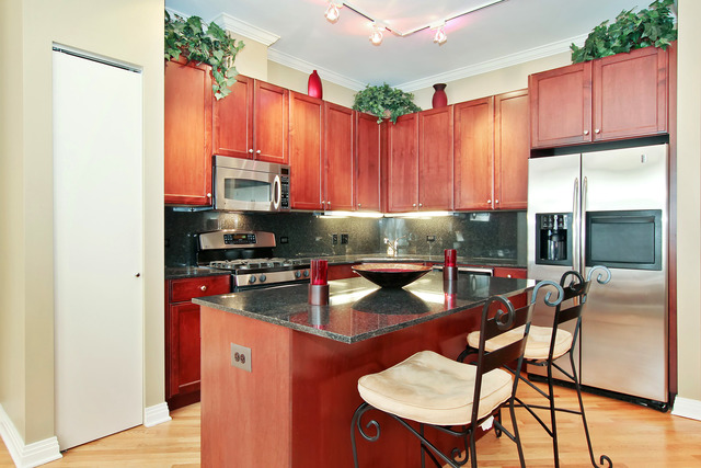 1638 South Indiana Avenue, Unit 4 Chicago, IL 60616 - Photo 6 of 14 a kitchen with stainless steel appliances granite countertop a stove top oven a refrigerator and cabinets
