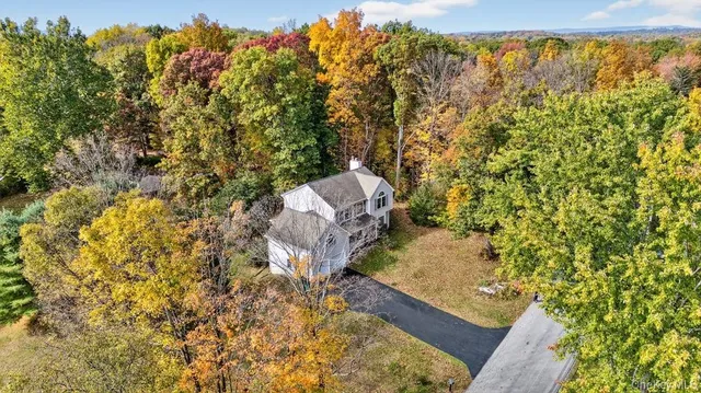 a view of a yard with plants