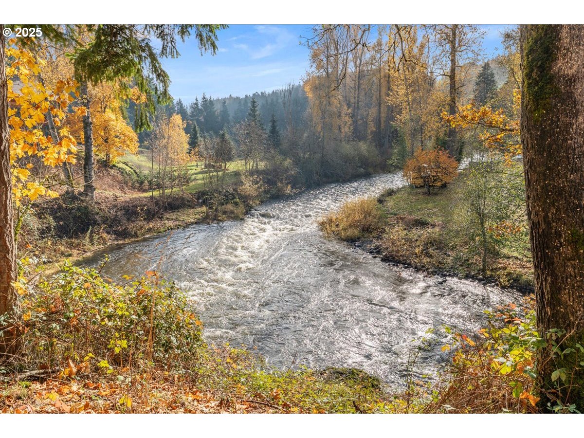 17616 Abiqua Road Northeast Silverton, OR 97381 - Photo 7 of 48