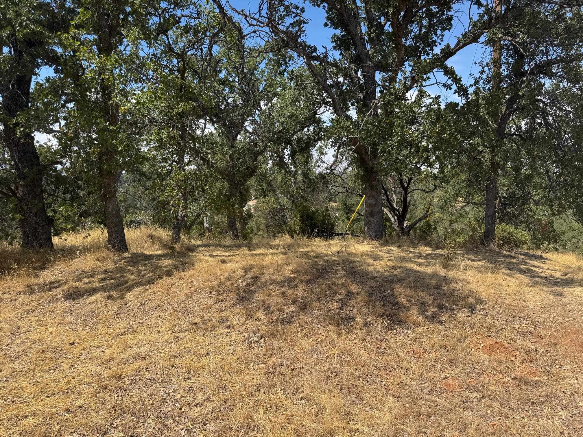 16173 Nugget Road Corning, CA 96021 - Photo 5 of 21