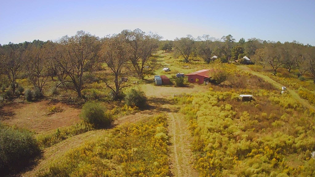 5236 Stewart Road Ochlocknee, GA 31773 - Photo 16 of 19 Gallery Image 16