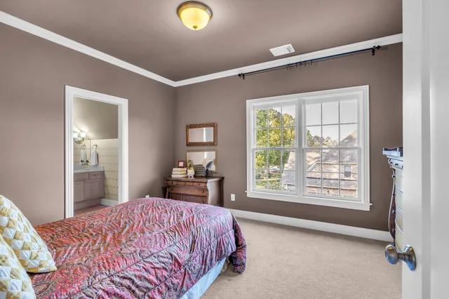 a view of a big yard with large trees