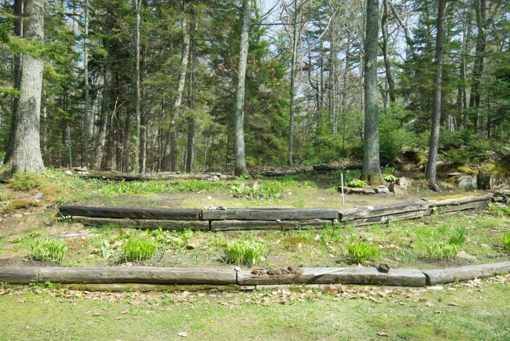 1835 Main Road Phippsburg, ME 04562 - Photo 4 of 12 Photo