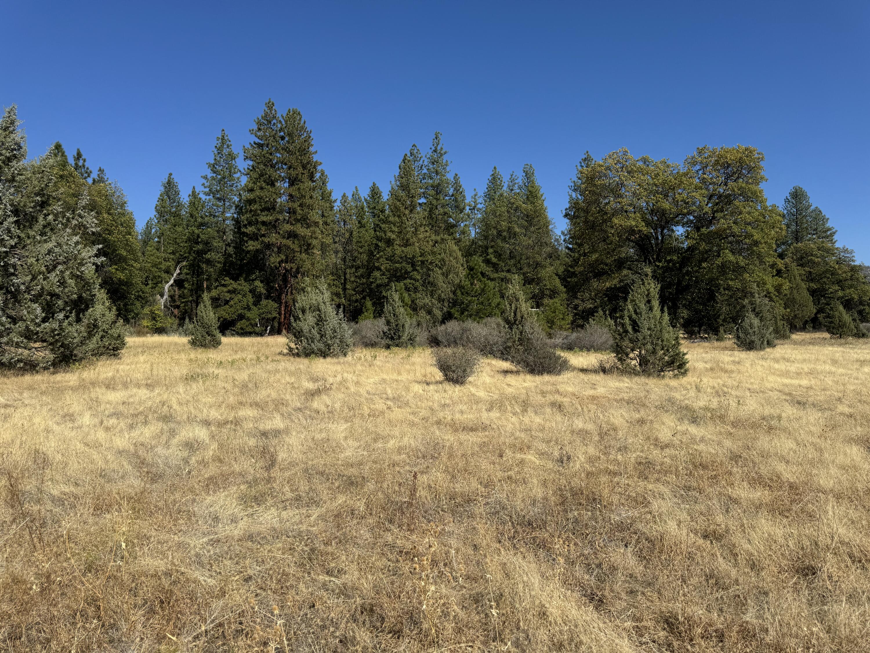 29360 Day Road McArthur, CA 96056 - Photo 12 of 27 a view of snow on the side of a road
