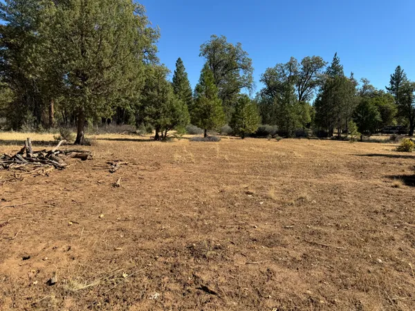 a view of outdoor space with trees