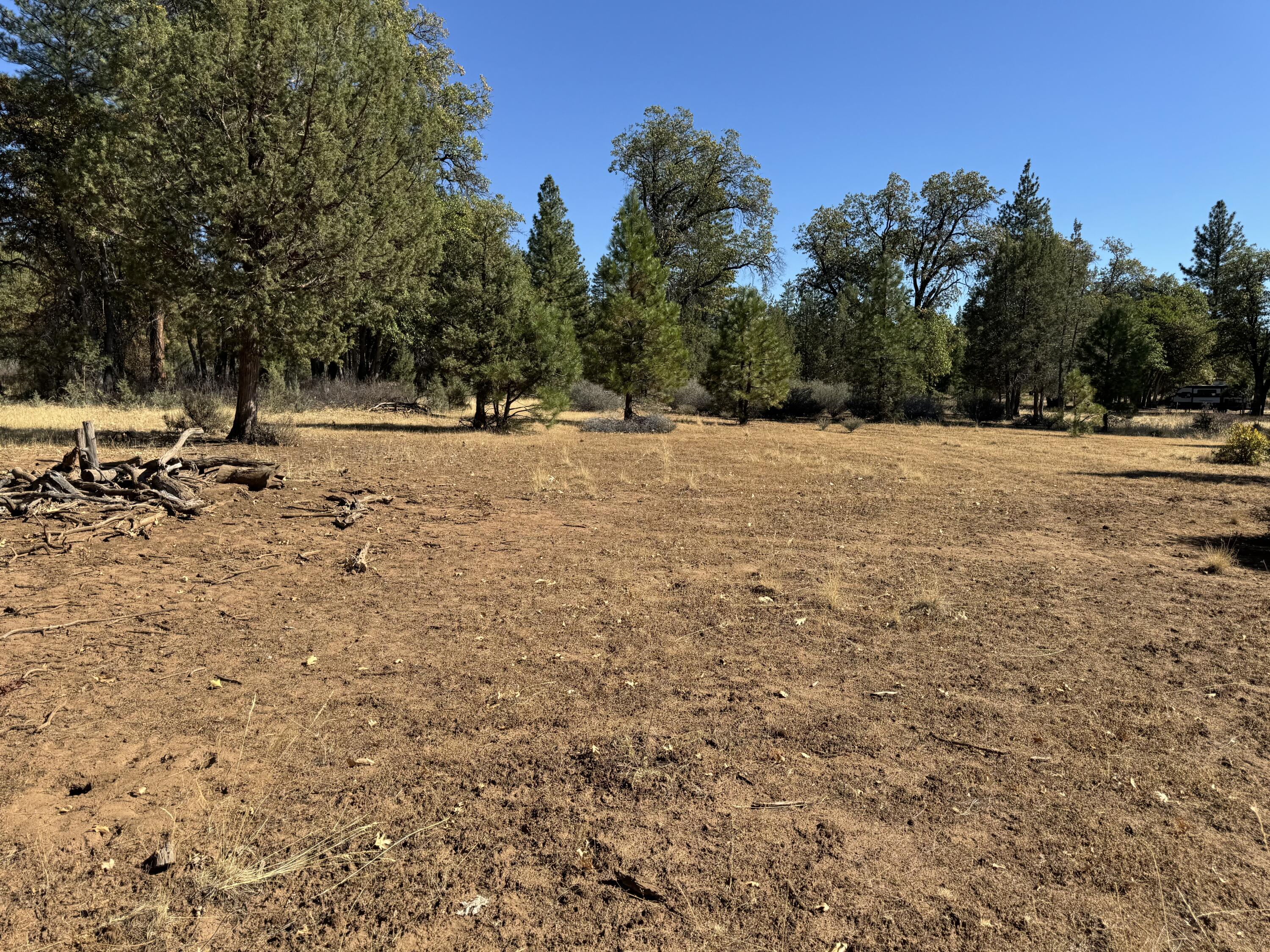 29360 Day Road McArthur, CA 96056 - Photo 13 of 27 a view of outdoor space with trees