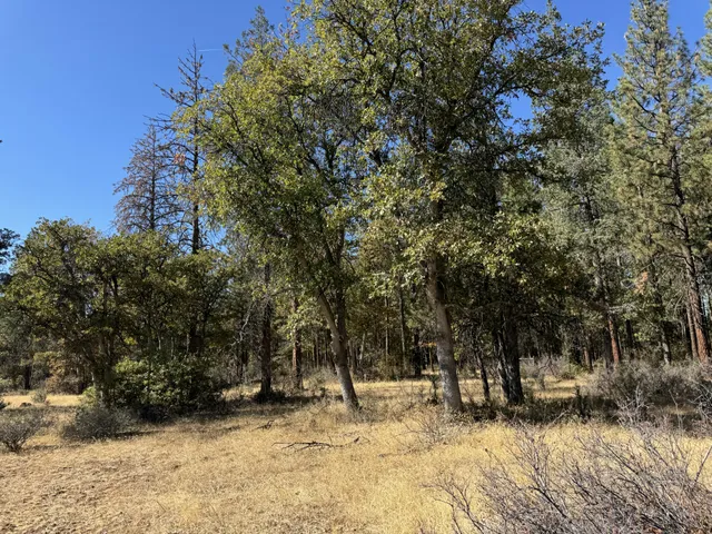 a view of outdoor space and trees