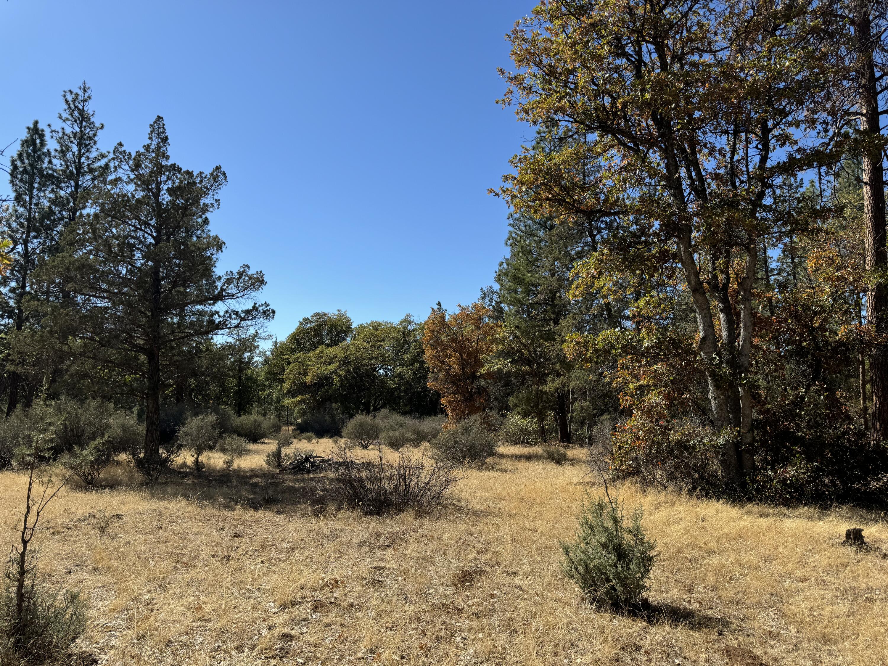 29360 Day Road McArthur, CA 96056 - Photo 16 of 27 a view of a yard covered in snow