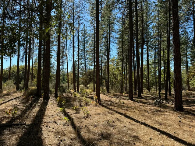 a view of outdoor space with deck