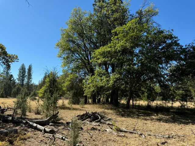 a view of a backyard of the house