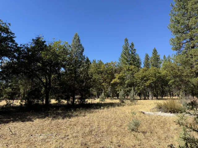 a view of outdoor space with trees