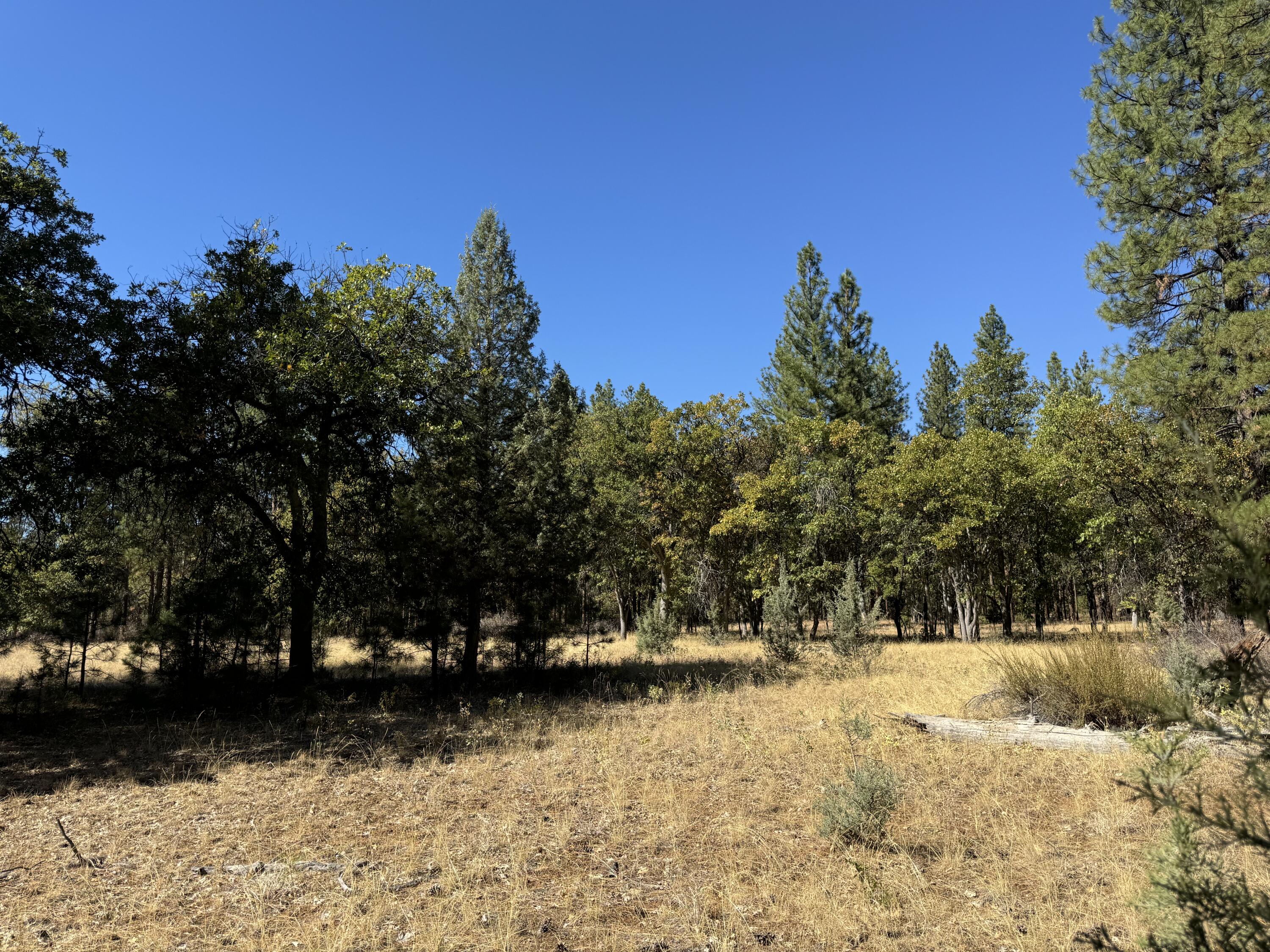 29360 Day Road McArthur, CA 96056 - Photo 20 of 27 a view of outdoor space with trees