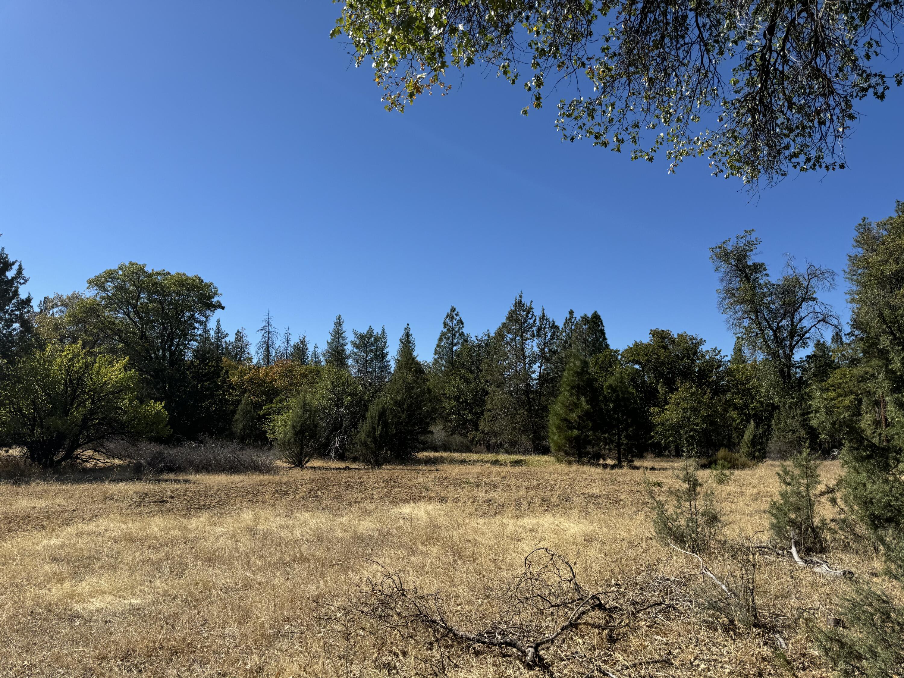 29360 Day Road McArthur, CA 96056 - Photo 21 of 27 a view of a yard
