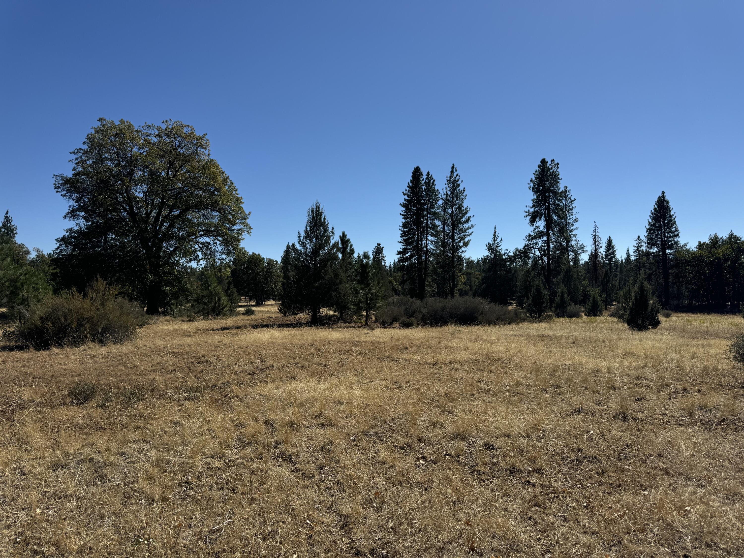29360 Day Road McArthur, CA 96056 - Photo 22 of 27 a view of outdoor space with mountain view