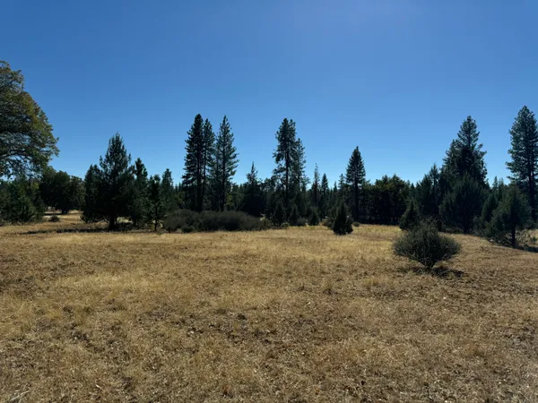 a view of outdoor space with trees