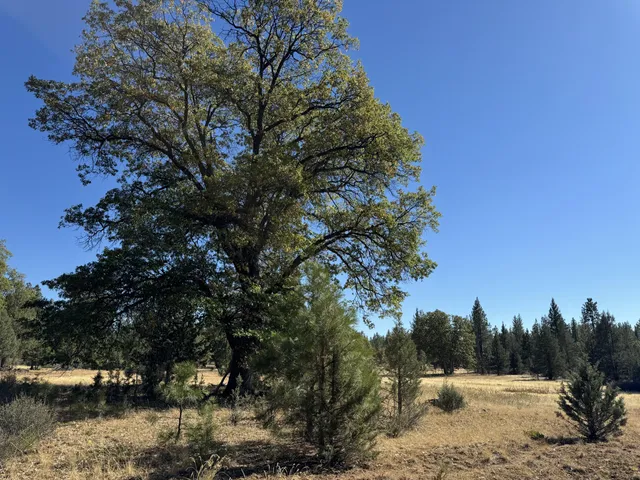 a view of a lake with houses