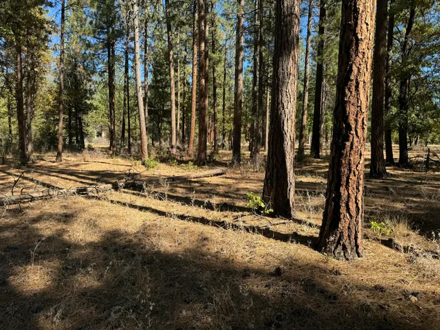 a view of a backyard of the house