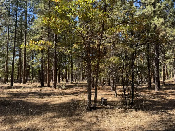 a view of park space