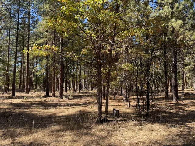 a view of park space