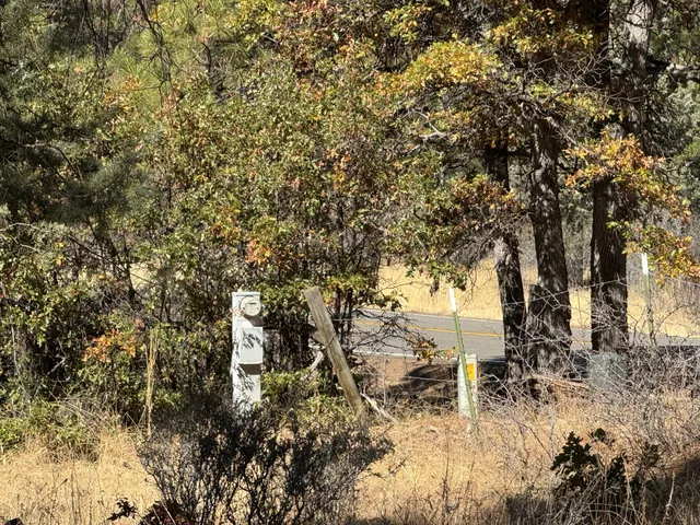 a view of a yard with a tree