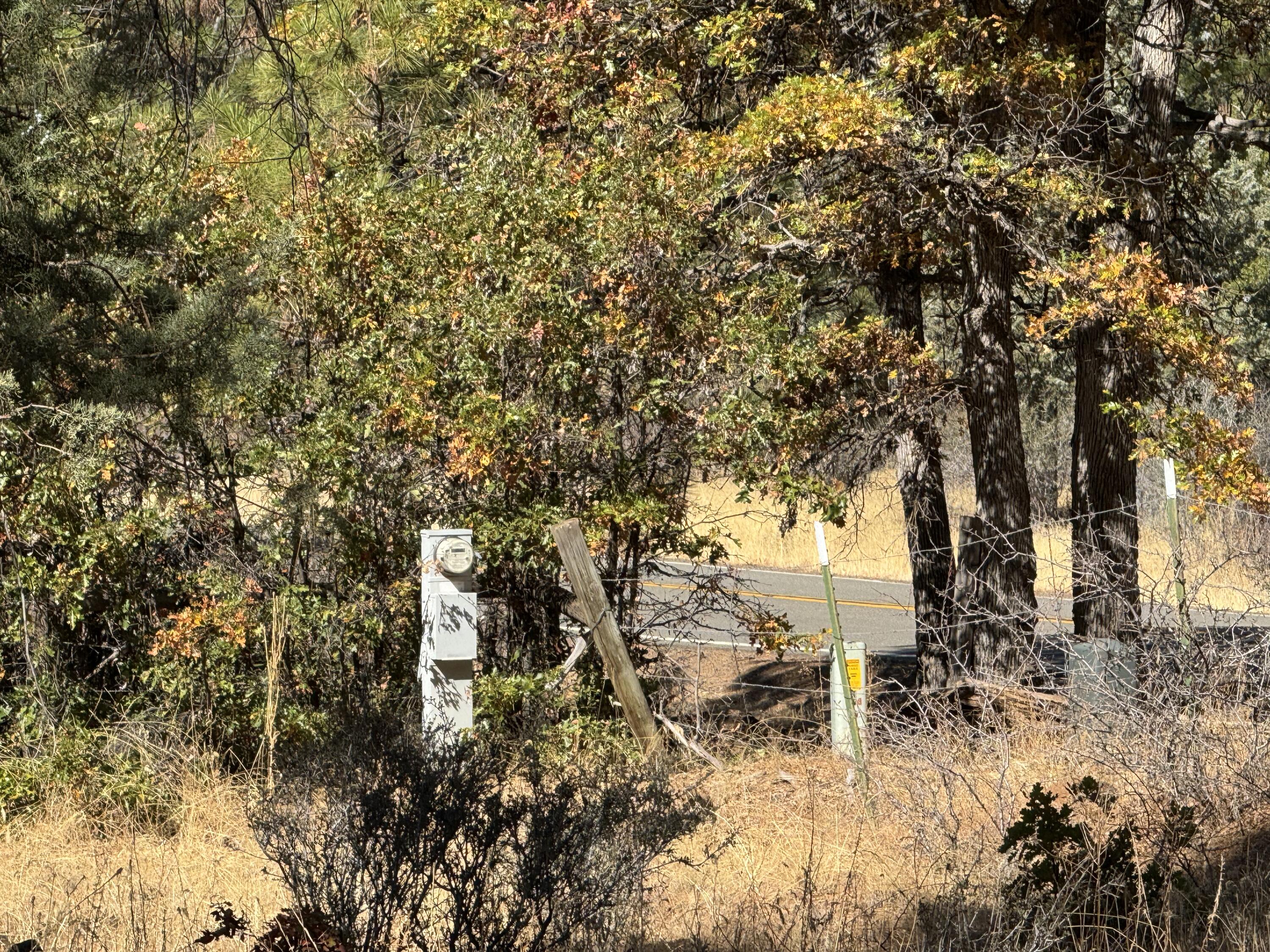 29360 Day Road McArthur, CA 96056 - Photo 4 of 27 a view of a yard with a tree