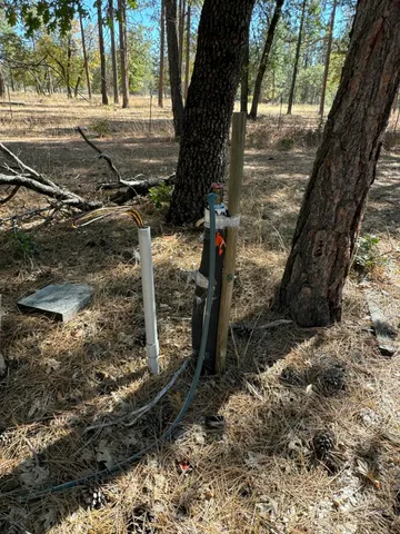 a view of a backyard