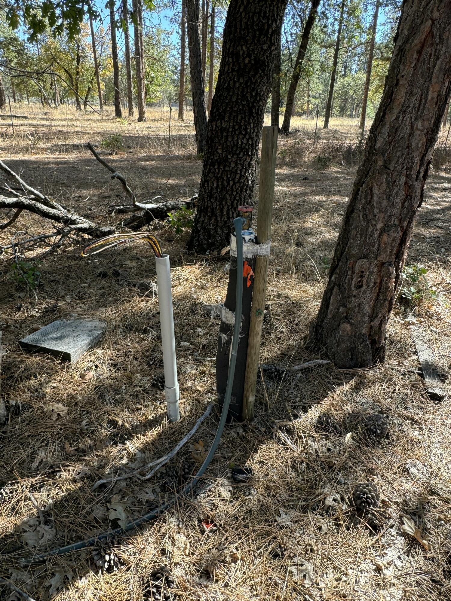 29360 Day Road McArthur, CA 96056 - Photo 6 of 27 a view of a backyard
