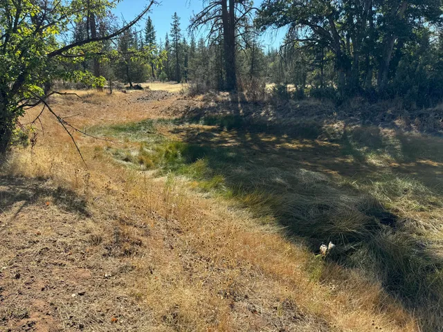 a view of outdoor space and trees