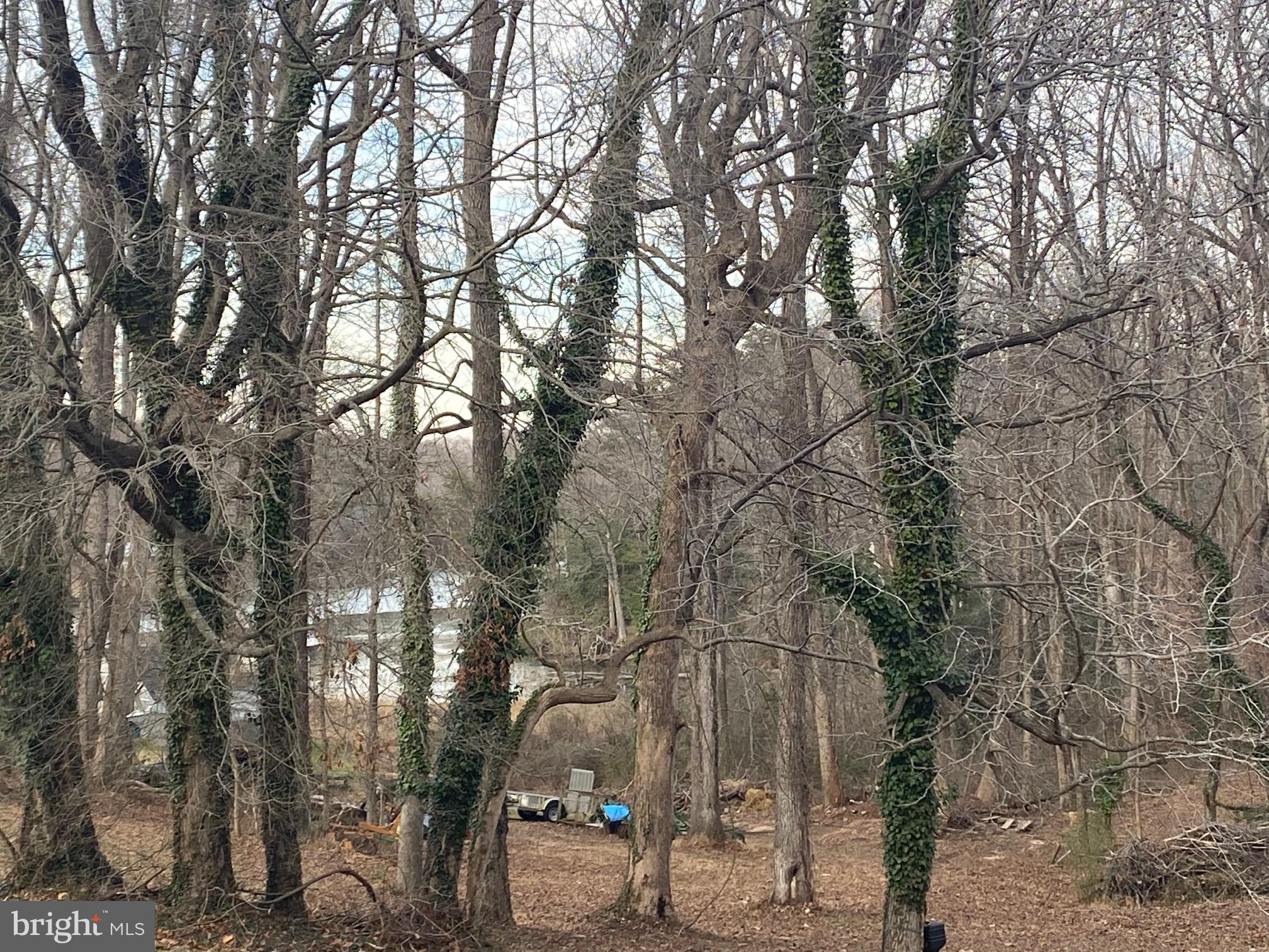 280 Swaggers Point Road Solomons, MD 20688 - Photo 2 of 3 View of water from yard