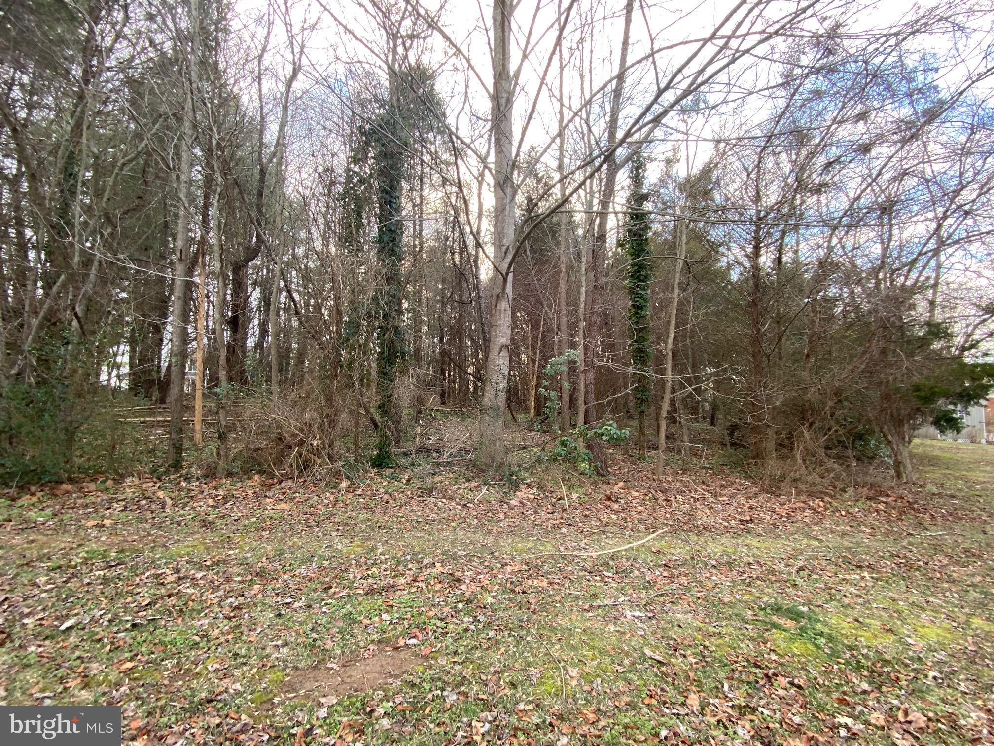 280 Swaggers Point Road Solomons, MD 20688 - Photo 3 of 3 front of lot