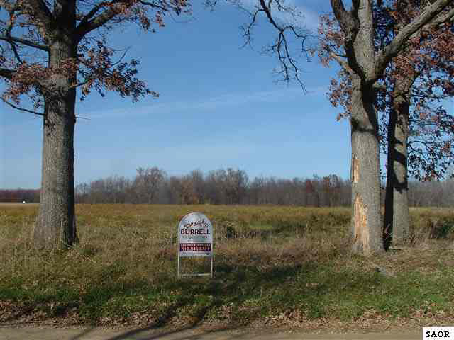Nhn Hite Road Bancroft, MI 48414 - Photo 1 of 1 47548.JPG