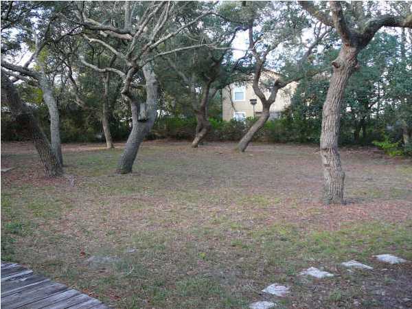 58 Garfield Street Santa Rosa Beach, FL 32459 - Photo 19 of 20 a view of a forest with trees