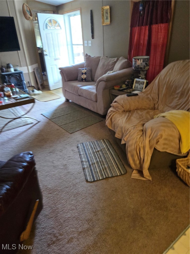 5974 Cleveland Road, Unit 23 Wooster, OH 44691 - Photo 9 of 29 Living room with carpet and a wood stove