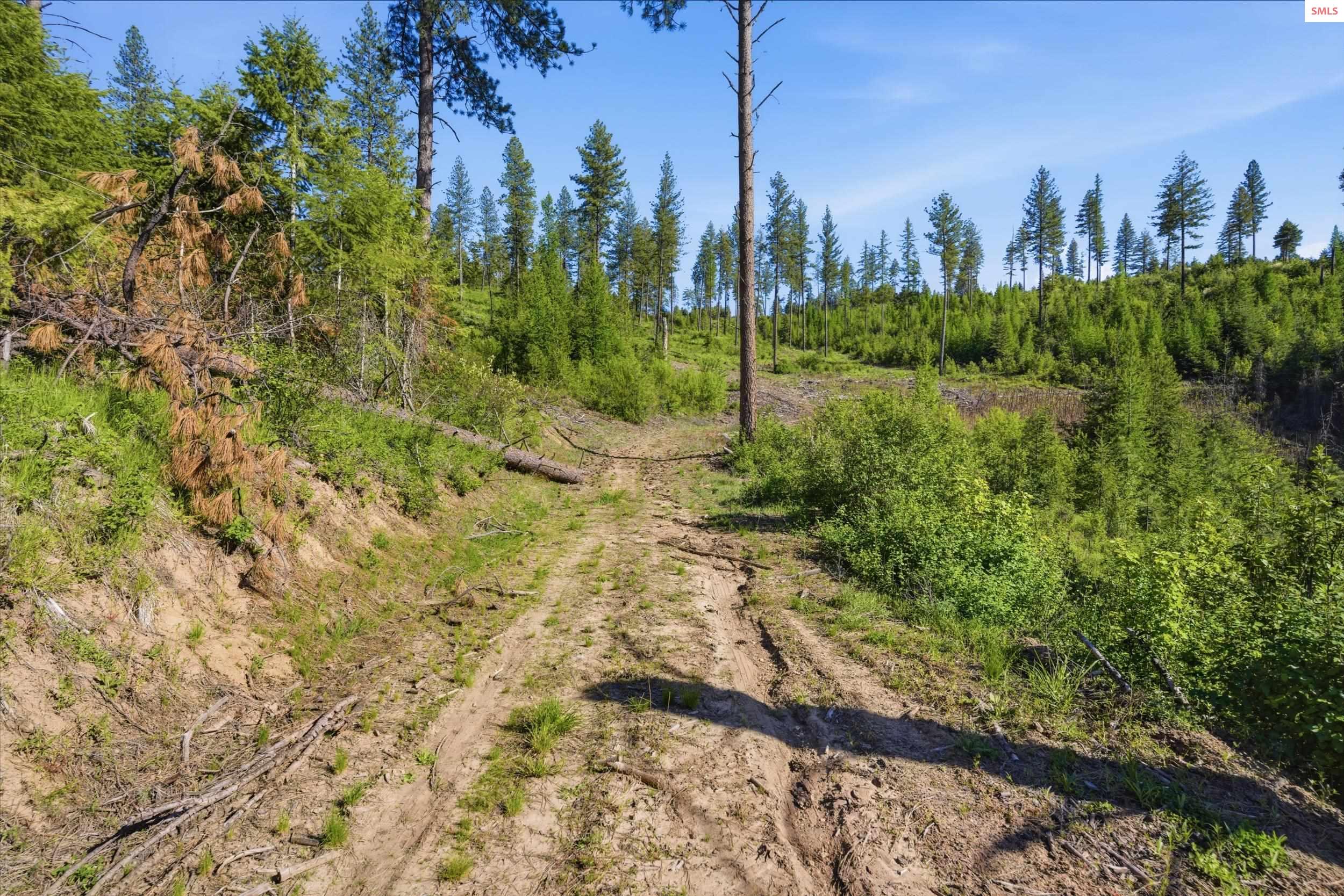 Nka Nka Stone Road Blanchard, ID 83804 - Photo 23 of 26 Gallery Image 23