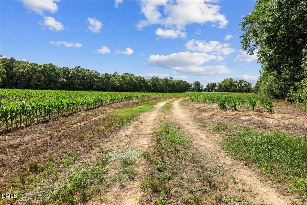 0 Antioch Church Road Middlesex, NC 27557 - Photo 16 of 26
