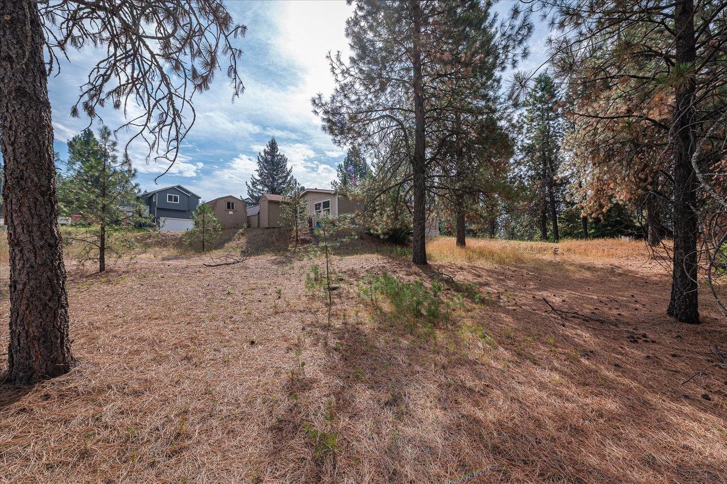 38221 North Sheets Road Elk, WA 99009 - Photo 36 of 50