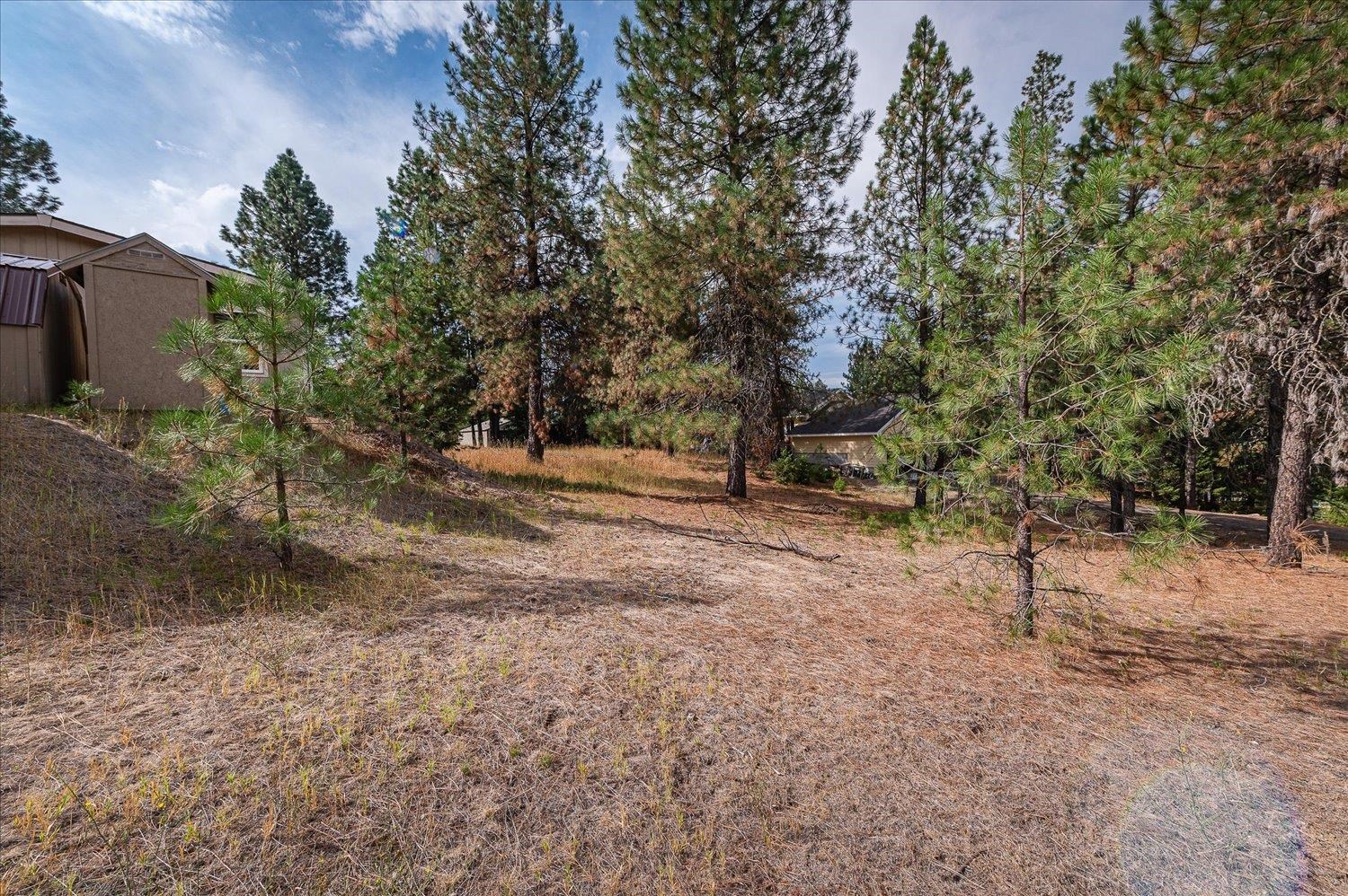 38221 North Sheets Road Elk, WA 99009 - Photo 37 of 50