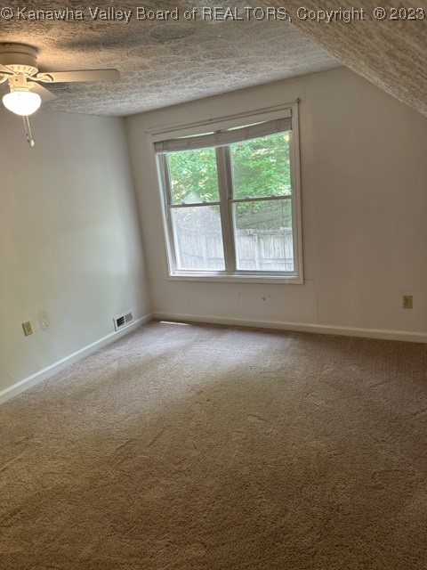 74 Chestnut Road Elkview, WV 25071 - Photo 29 of 50 Gallery Image 29