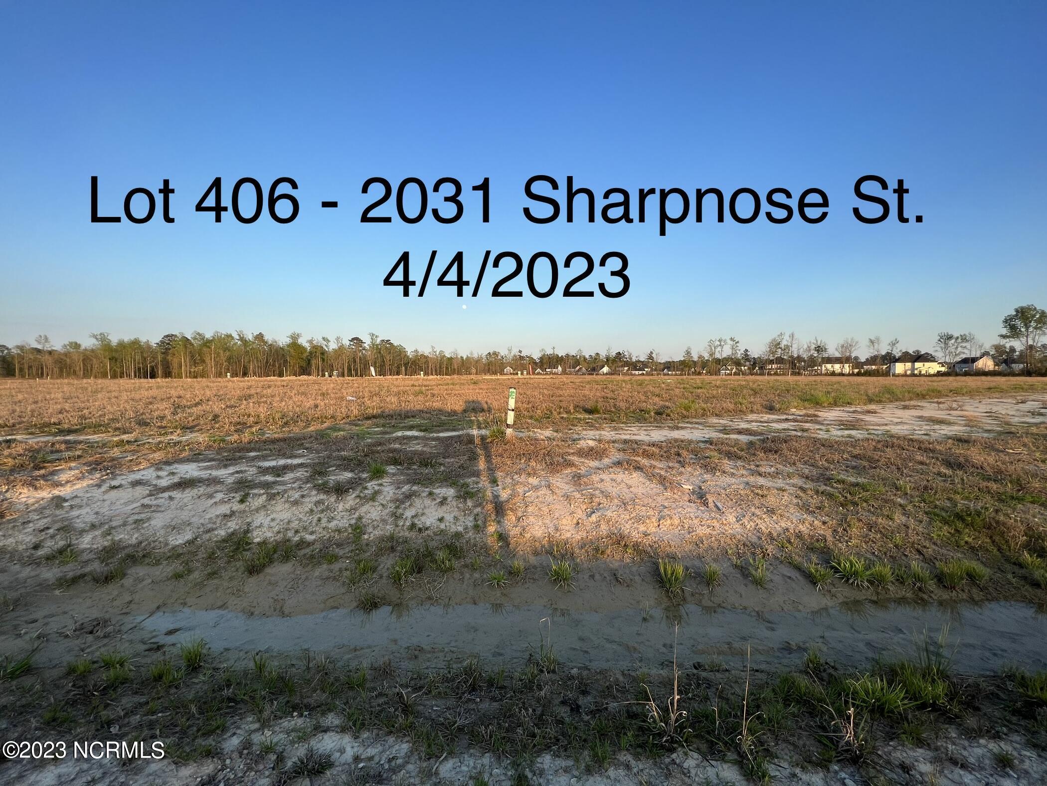 2031 Sharpnose Street New Bern, NC 28562 - Photo 7 of 10 IMG_4754