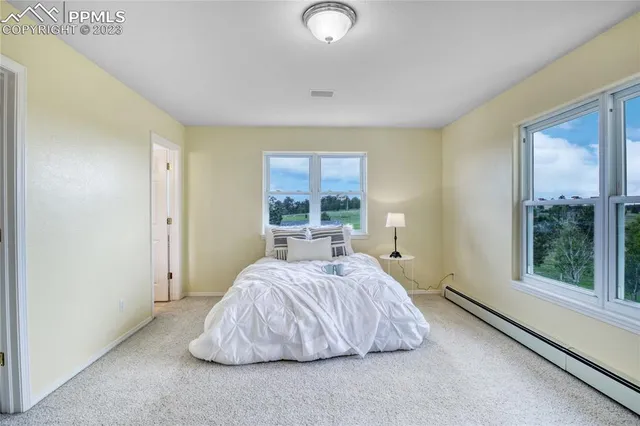 $1,195,000 | 12595 Mc Cune Road, Black Forest, CO 80106