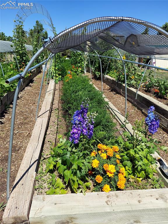 12595 Mc Cune Road Black Forest, CO 80106 - Photo 32 of 44