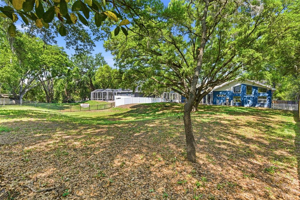 3042 Colonial Ridge Drive Brandon, FL 33511 - Photo 65 of 89